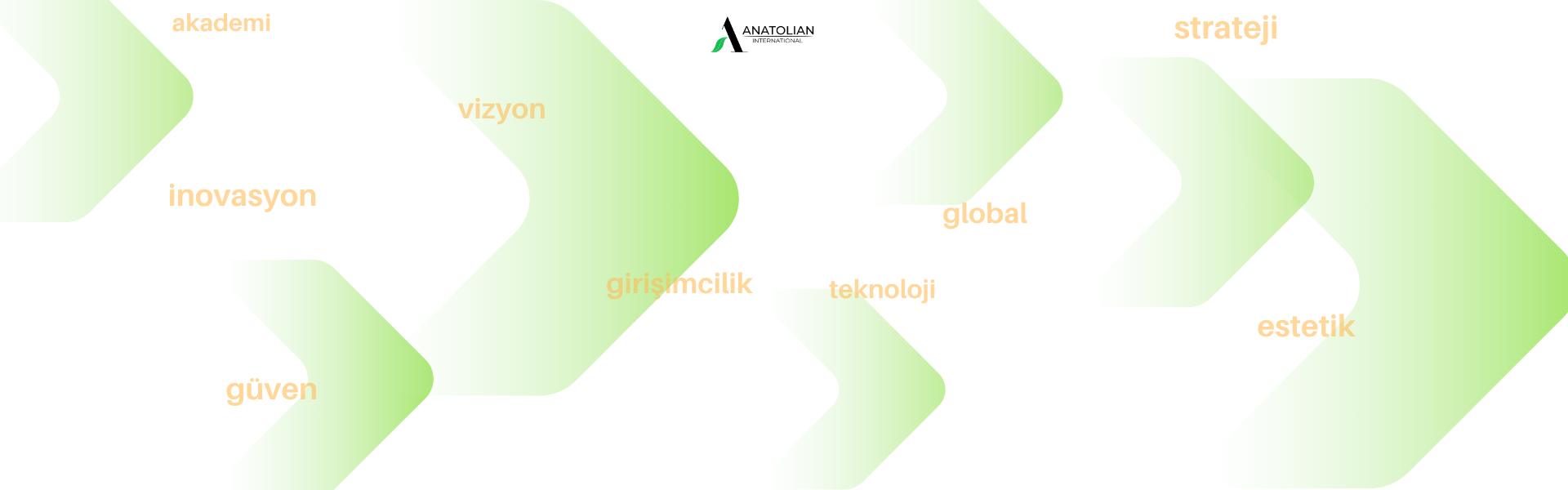 Anatolian International Slider 0