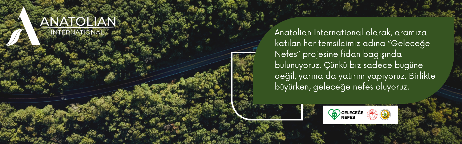 Anatolian International Slider 0